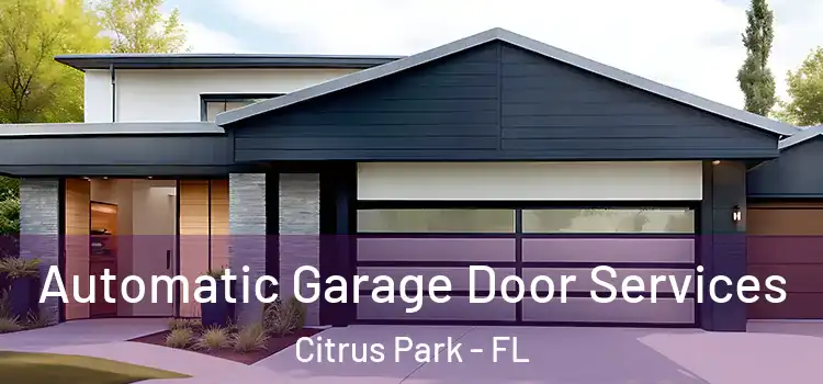  Automatic Garage Door Services Citrus Park - FL