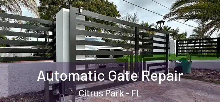 Automatic Gate Repair Citrus Park - FL