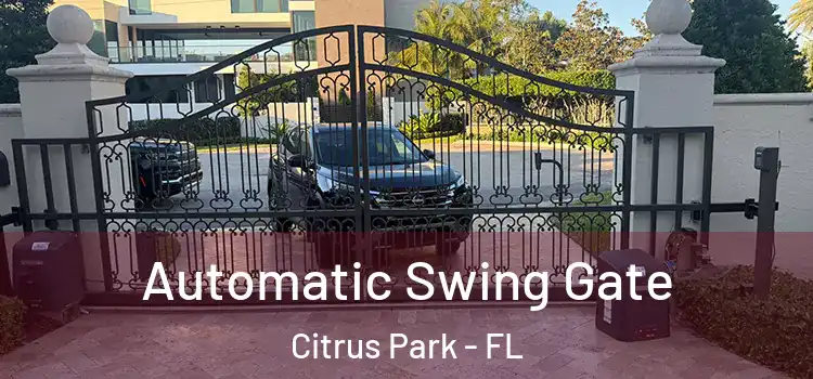 Automatic Swing Gate Citrus Park - FL