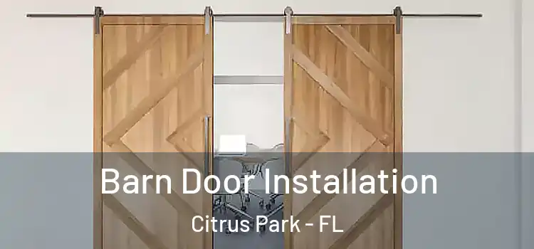 Barn Door Installation Citrus Park - FL