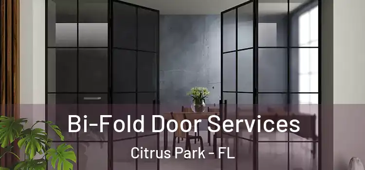 Bi-Fold Door Services Citrus Park - FL