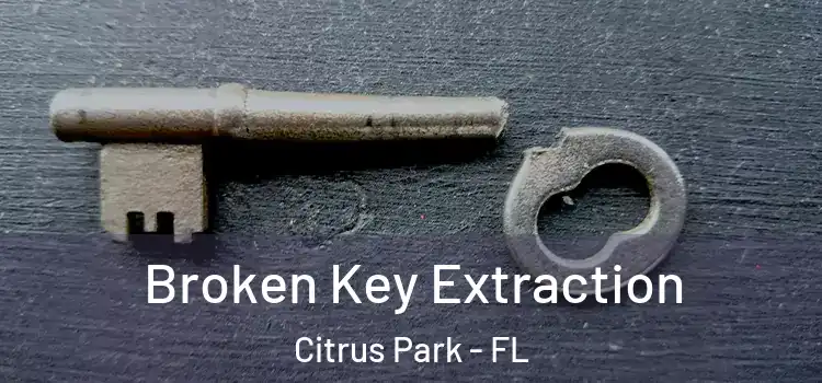 Broken Key Extraction Citrus Park - FL