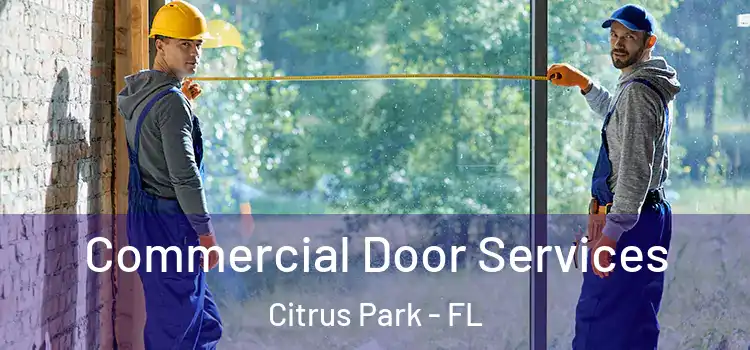 Commercial Door Services Citrus Park - FL