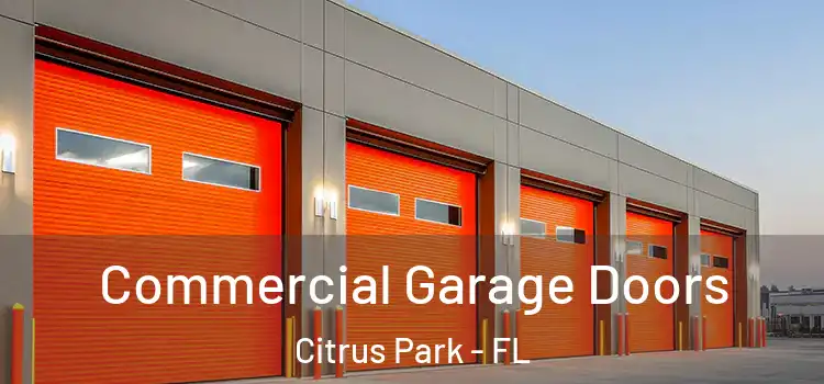  Commercial Garage Doors Citrus Park - FL
