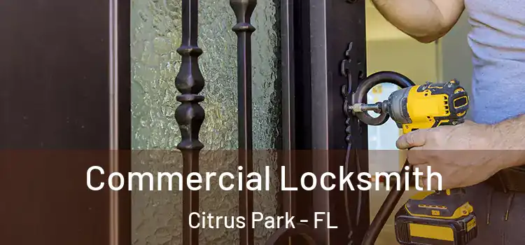 Commercial Locksmith Citrus Park - FL