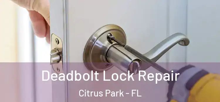 Deadbolt Lock Repair Citrus Park - FL