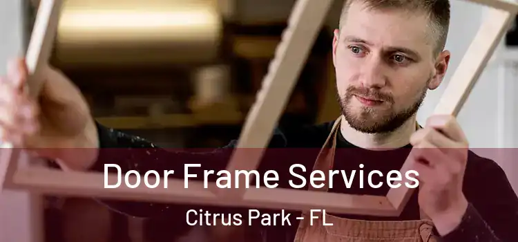 Door Frame Services Citrus Park - FL
