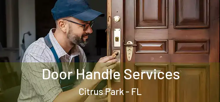 Door Handle Services Citrus Park - FL