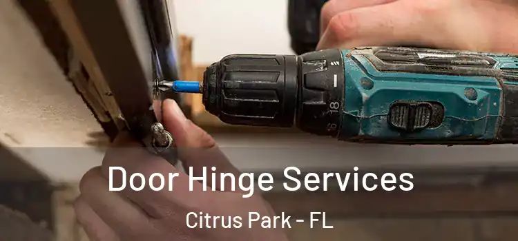 Door Hinge Services Citrus Park - FL