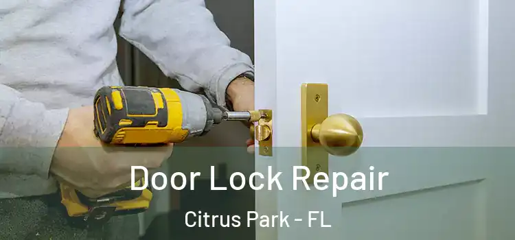 Door Lock Repair Citrus Park - FL