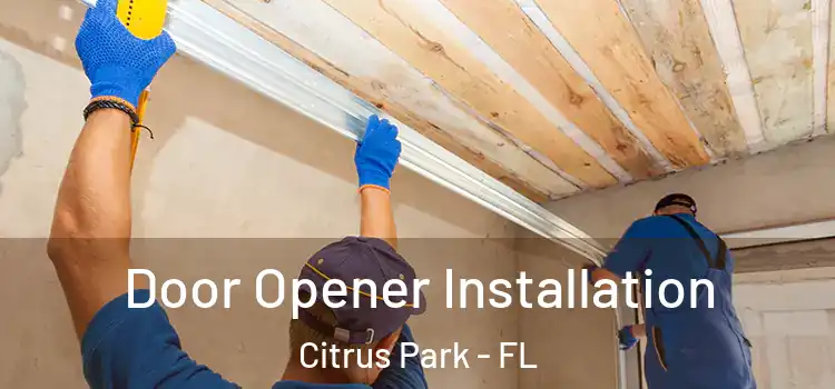 Door Opener Installation Citrus Park - FL