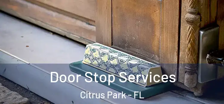 Door Stop Services Citrus Park - FL