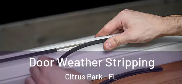 Door Weather Stripping Citrus Park - FL