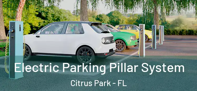 Electric Parking Pillar System Citrus Park - FL