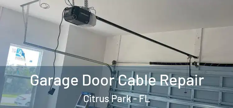  Garage Door Cable Repair Citrus Park - FL