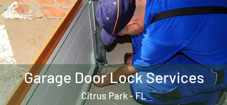 Garage Door Lock Services Citrus Park - FL