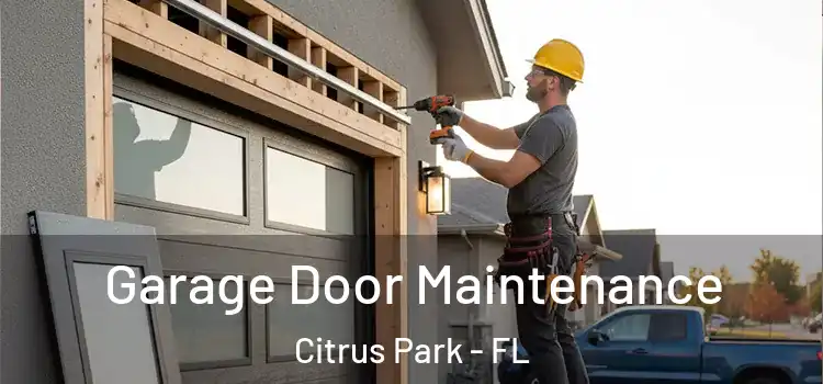 Garage Door Maintenance Citrus Park - FL