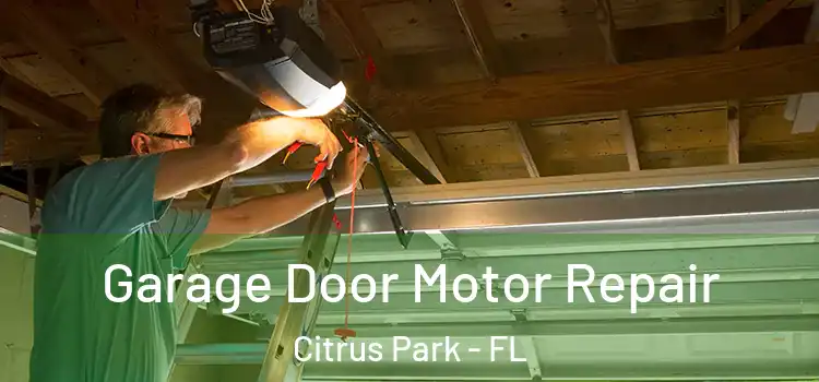  Garage Door Motor Repair Citrus Park - FL
