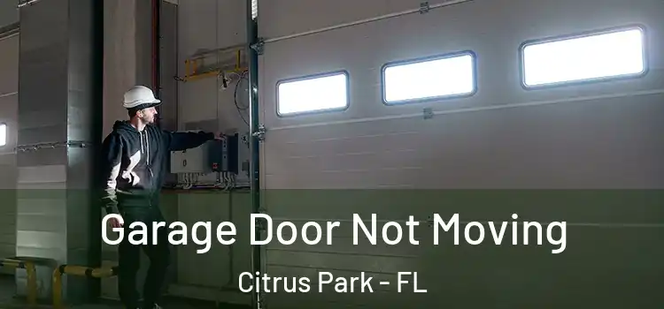  Garage Door Not Moving Citrus Park - FL