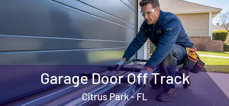  Garage Door Off Track Citrus Park - FL