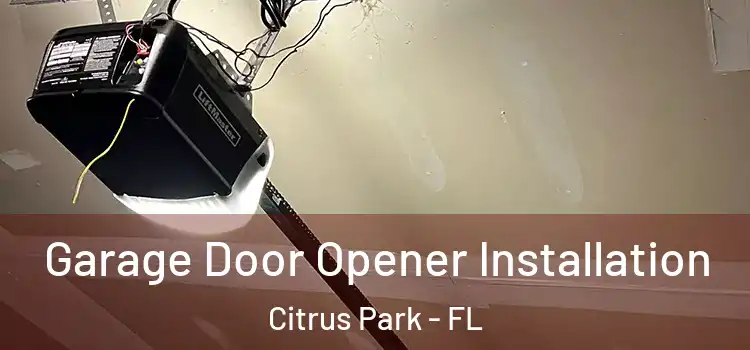  Garage Door Opener Installation Citrus Park - FL