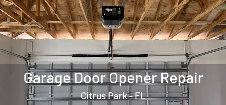  Garage Door Opener Repair Citrus Park - FL