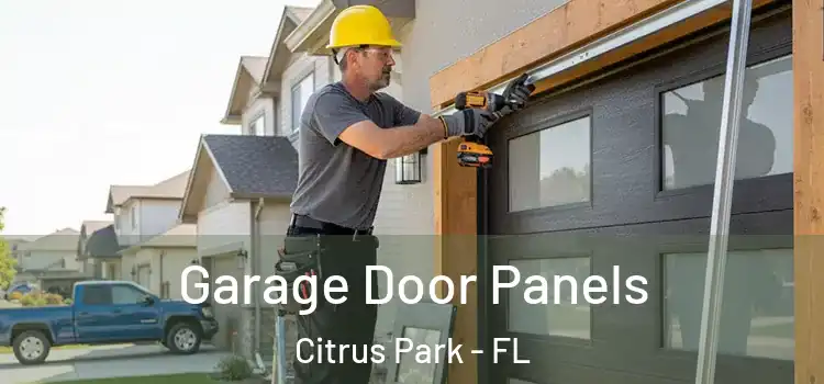  Garage Door Panels Citrus Park - FL