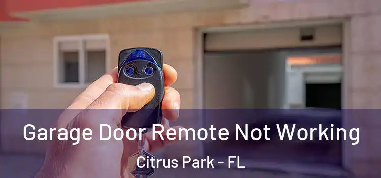  Garage Door Remote Not Working Citrus Park - FL