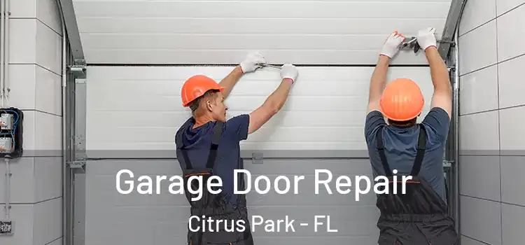  Garage Door Repair Citrus Park - FL
