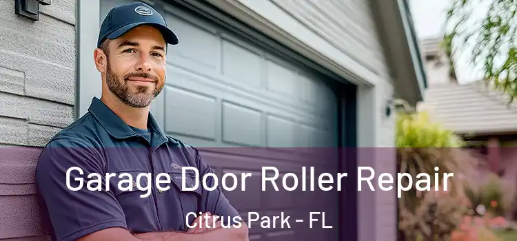  Garage Door Roller Repair Citrus Park - FL