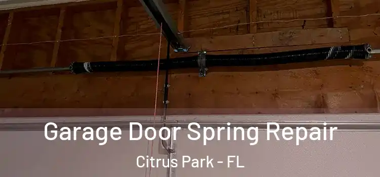  Garage Door Spring Repair Citrus Park - FL