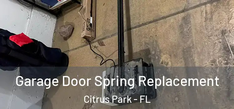  Garage Door Spring Replacement Citrus Park - FL