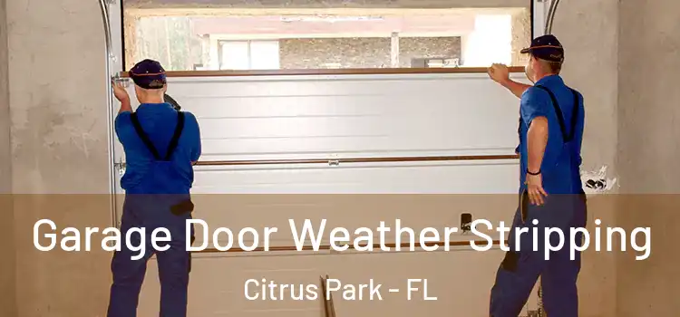  Garage Door Weather Stripping Citrus Park - FL