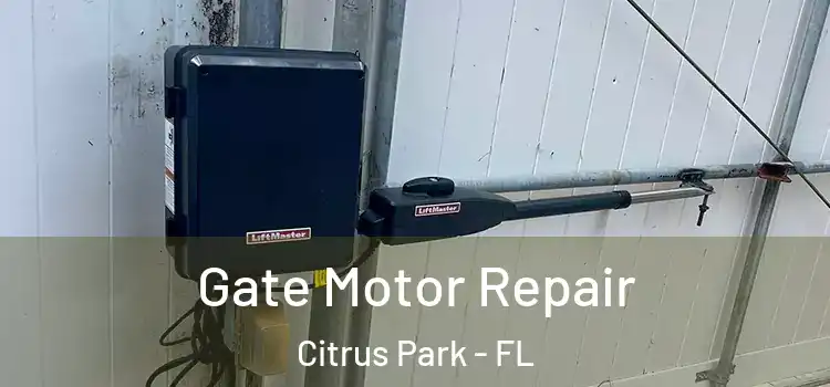 Gate Motor Repair Citrus Park - FL