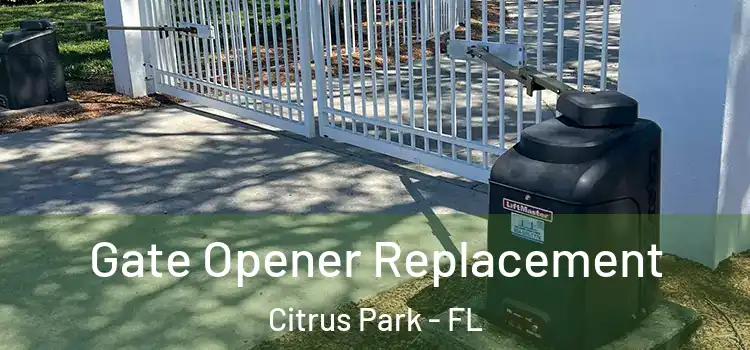 Gate Opener Replacement Citrus Park - FL