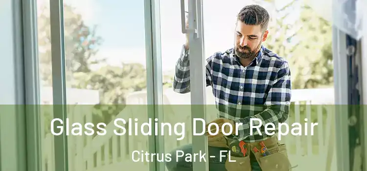  Glass Sliding Door Repair Citrus Park - FL