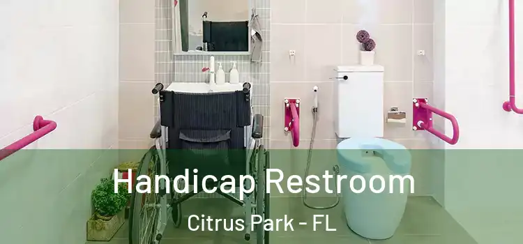 Handicap Restroom Citrus Park - FL