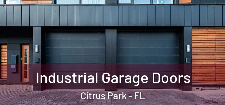  Industrial Garage Doors Citrus Park - FL