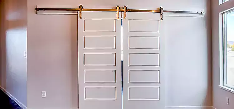 Glass Barn Door with Installation Hardware Kit Citrus Park