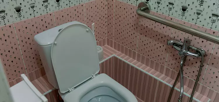Meeting Diverse Needs With Accessible Restroom Solutions in Citrus Park, FL