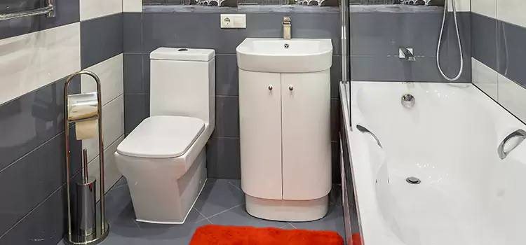 Hansgrohe Shaving Mirror Citrus Park