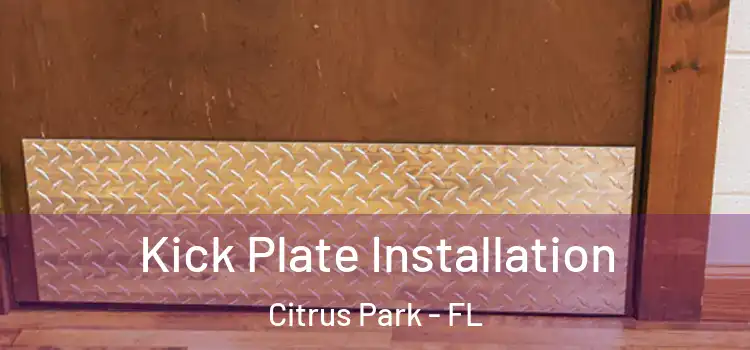  Kick Plate Installation Citrus Park - FL