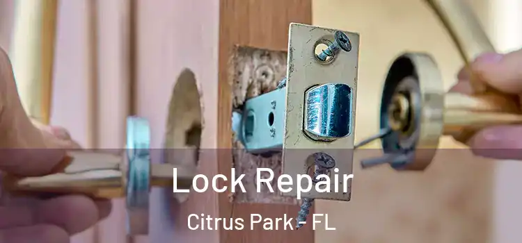 Lock Repair Citrus Park - FL