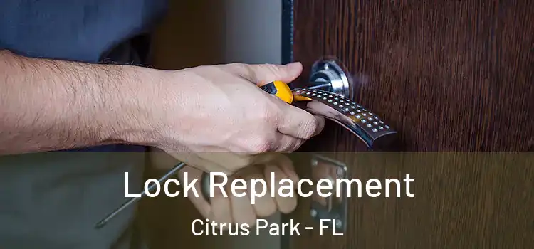 Lock Replacement Citrus Park - FL