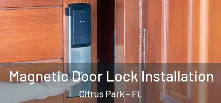  Magnetic Door Lock Installation Citrus Park - FL