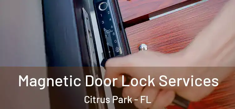 Magnetic Door Lock Services Citrus Park - FL
