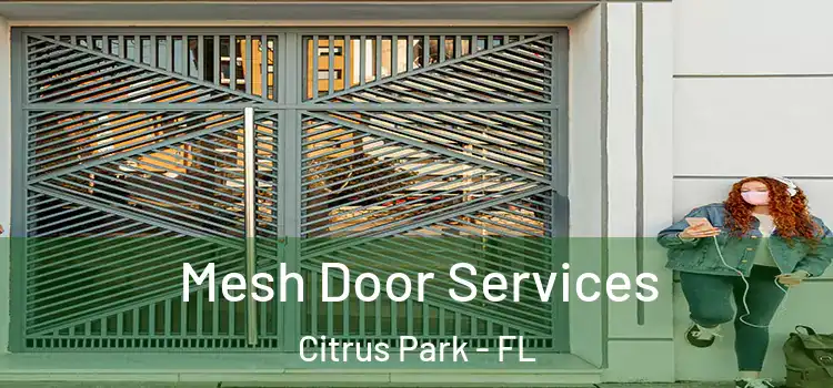 Mesh Door Services Citrus Park - FL
