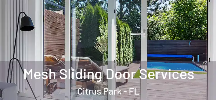 Mesh Sliding Door Services Citrus Park - FL