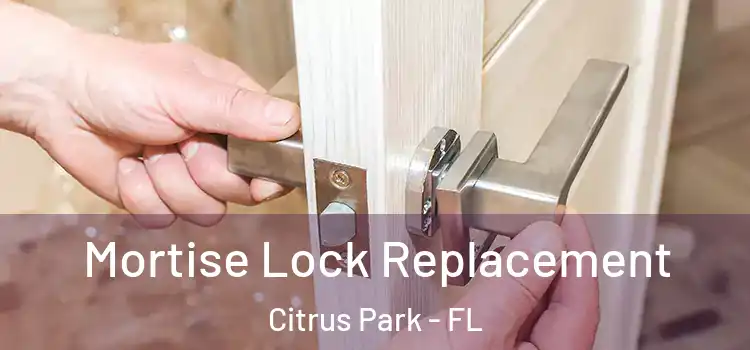 Mortise Lock Replacement Citrus Park - FL