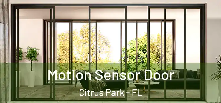 Motion Sensor Door Citrus Park - FL